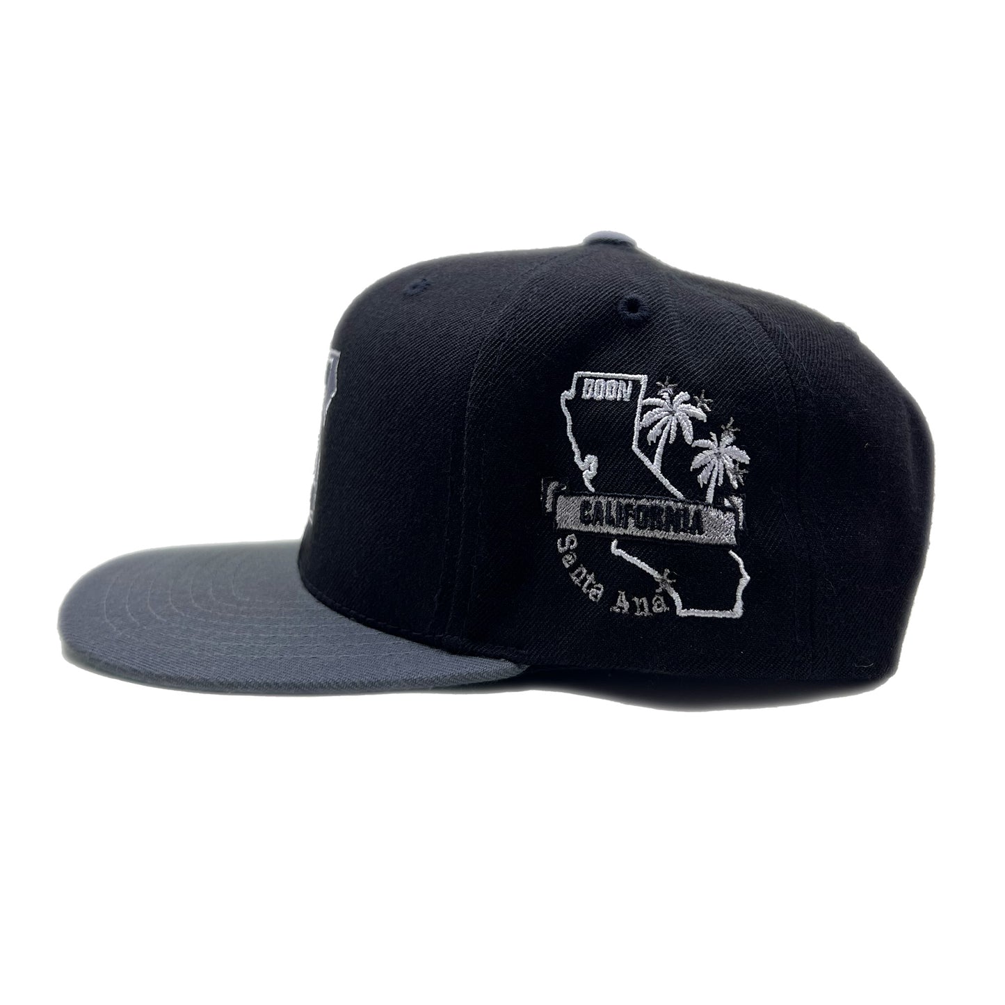 Santa Ana Snapback